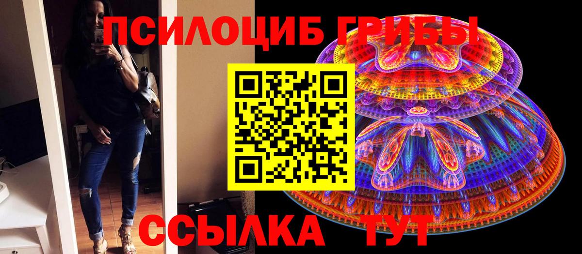 Петровск  Псилоцибиновые грибы Magic Shrooms  Вход с VPN  Псилоцибиновые грибы MAGIC MUSHROOMS 