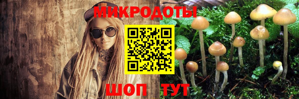 Галлюциногенные грибы ЛСД Петровск